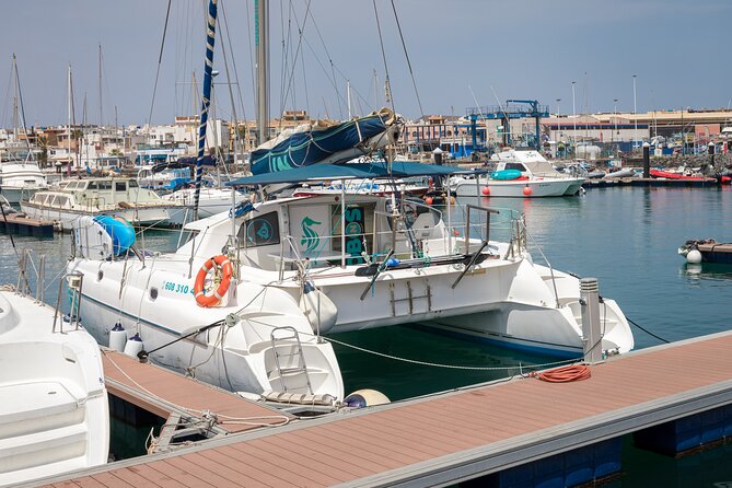 Catamaran Excursion Lobos in Morning Small Groups - Inclusions and Meeting Details