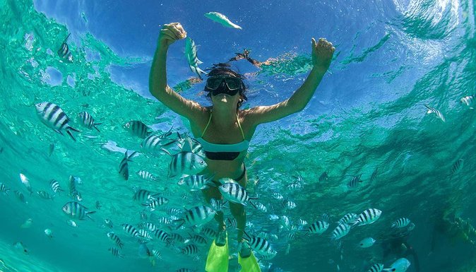 Catamaran Experience to Ile Aux Cerf: Incl: Parasailing, Lunch, GRSE & Transfer - Tour Highlights