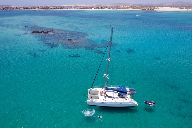 Catamaran Sailing Tour and Whale Watching in Boa Vista - Reviews
