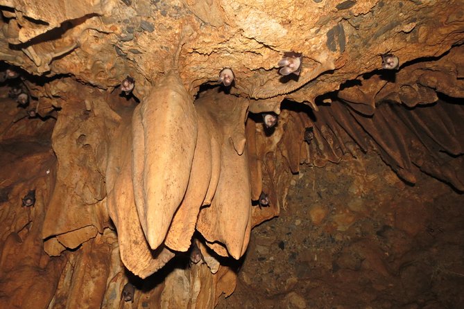 Caving Tour in Rishikesh - 6 Hrs.