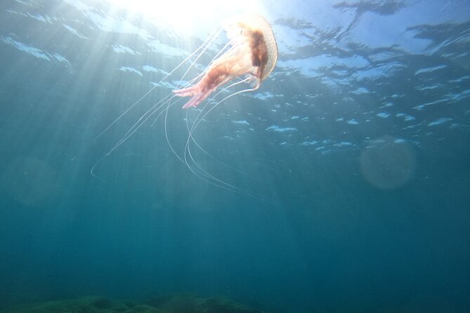 Chania Try Scuba Diving for Beginners - Location and Meeting Point