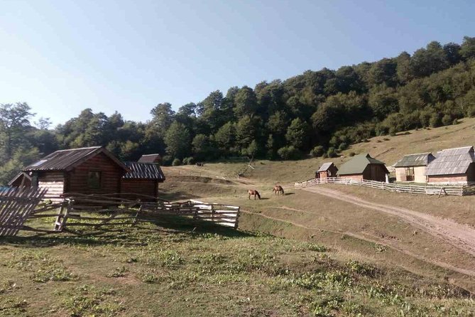 Cheese Farm Tour in the Katun - Tour Highlights