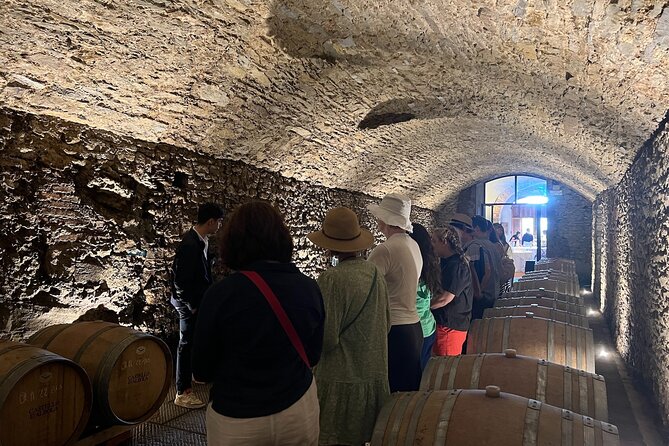 Chianti Wine Tastings and Visit to 3 Cellars With Lunch&Transfer