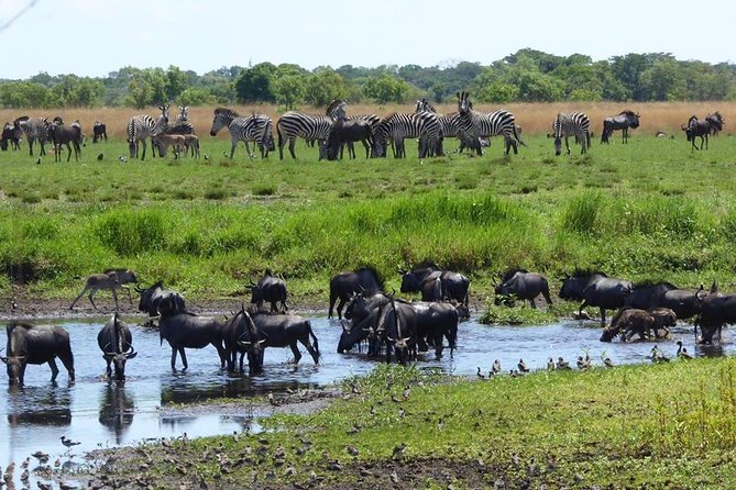 Chobe Day Trip - Additional Information