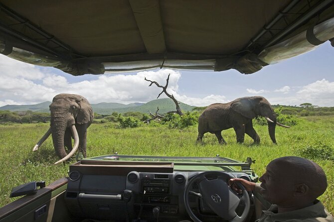 Chobe Extended Day Trip From Victoria Falls - Small Group - Pickup and Logistics
