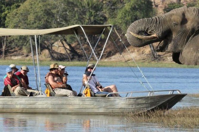 Chobe Extended Day Trip From Victoria Falls - Zimbabwe - Itinerary Details