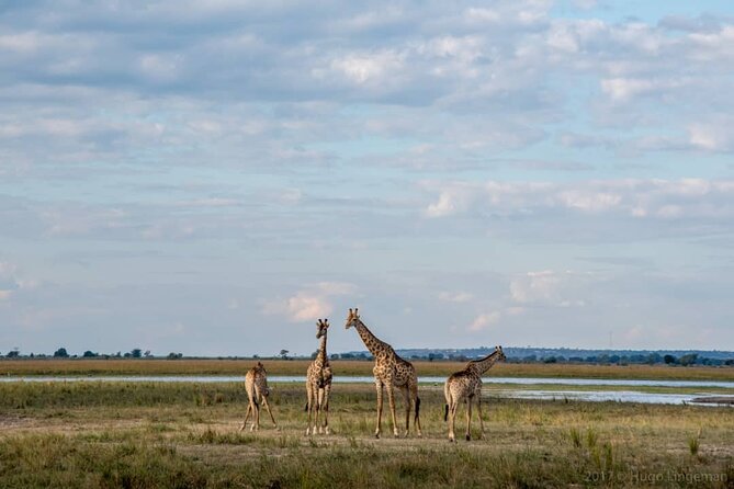 Chobe Full Day Trip - Itinerary Highlights