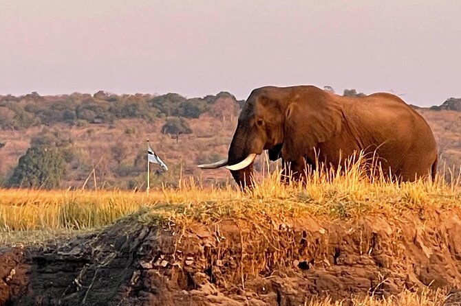 Chobe Full Day Trip