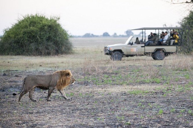 Chobe National Park Day Trip From Victoria Falls