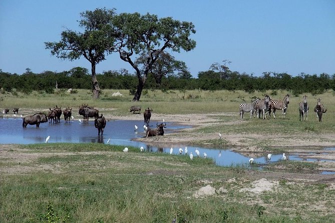 Chobe National Park Full Day Safari (Botswana) - Inclusions and Exclusions