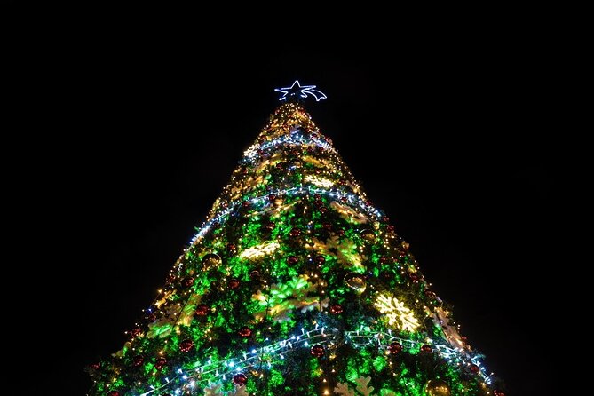 Christmas Eve in Israel: Jerusalem Sightseeing Tour With Dinner and Midnight Mass Viewing in Bethlehem - Inclusions