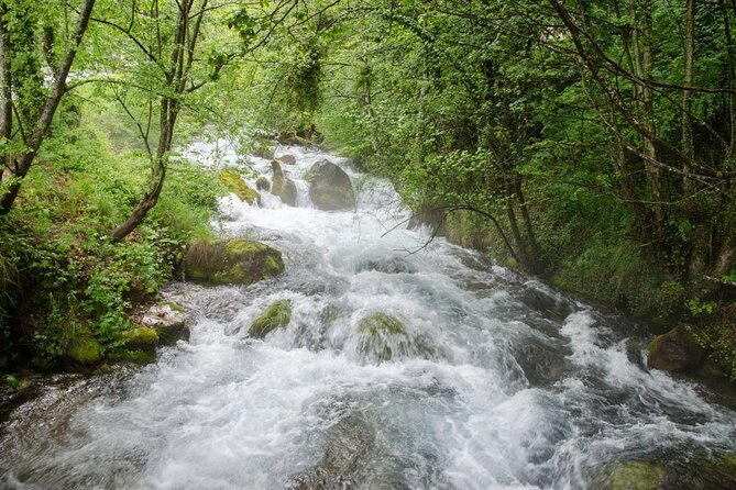 City Trip Struga and Independent Vevchani From Ohrid. - What To Expect