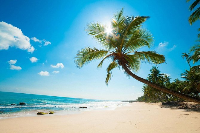 Classic Thrilling Kenya, Tanzania and Zanzibar 2024 - Tour Highlights