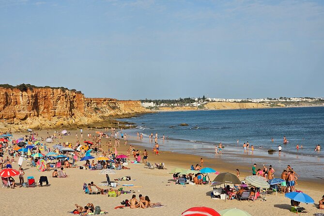 Coastal White Villages and Beaches Private Day Trip From Seville - Inclusions