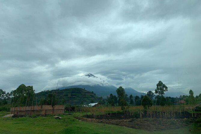 Coffee Making Tour at a Local Farm in Kisoro