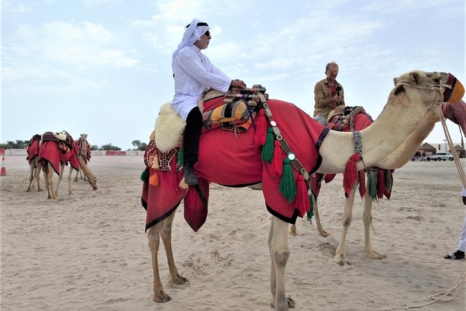 Combo Culture North Qatar and Desert Safari Tour - Tour Highlights