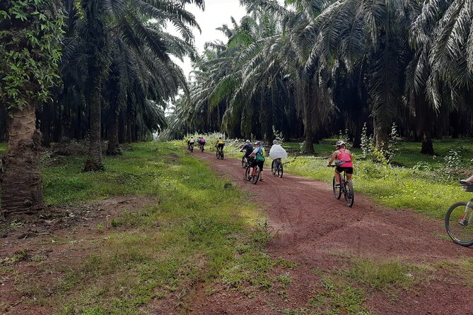 Countryside Cycling Tour by Matahari - Location and Meeting Point