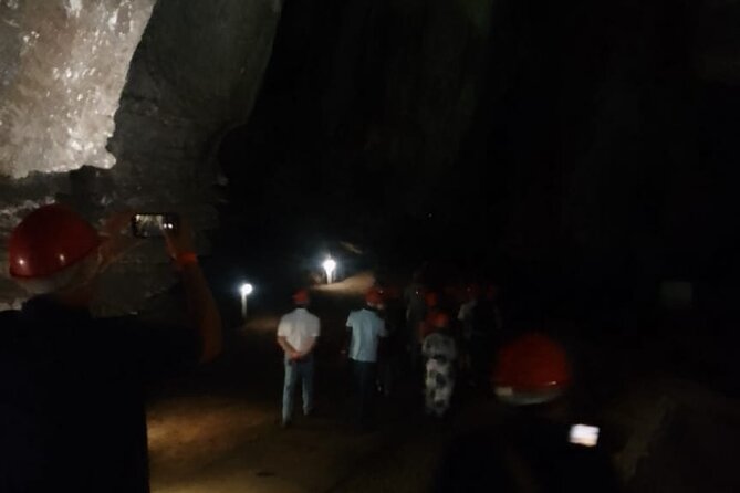 Cradle of Humankind Half Day Tour With Lunch - Tour Highlights