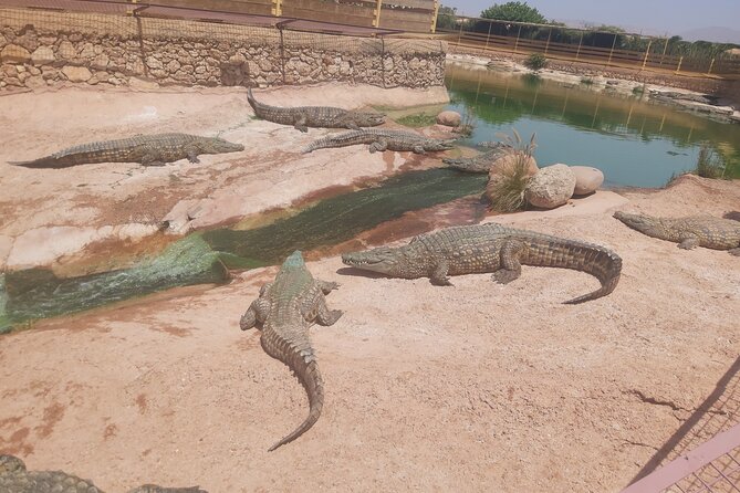 Crocodil Park Transport and Crocoparc Ticket - Location Details