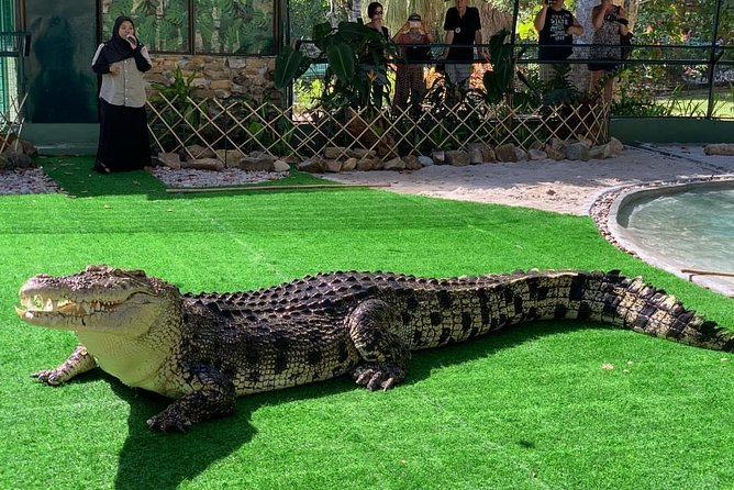 Crocodile Adventureland Langkawi Admission Ticket