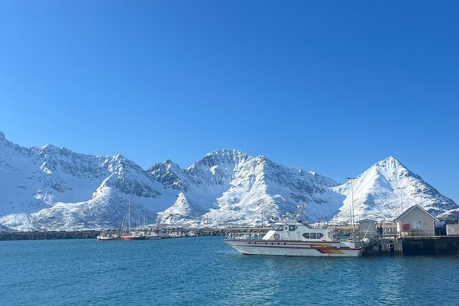 Cruise to the Fishing Village Øksfjord Including Lunch - Meeting and Pickup