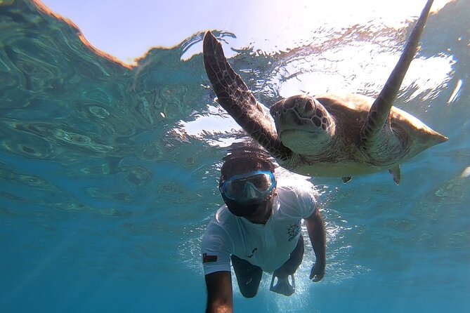 Cruises to Daymaniyat & Snorkeling - Customer Experiences