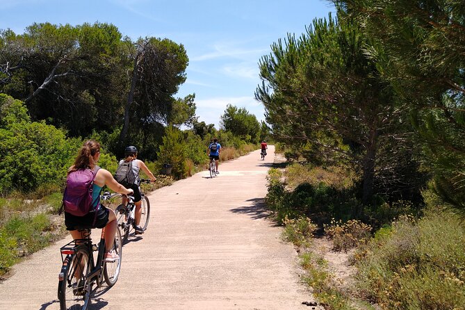 Cycle Albufera Lake, Rice Fields Paella and Boat Ride With Beach - Tour Details