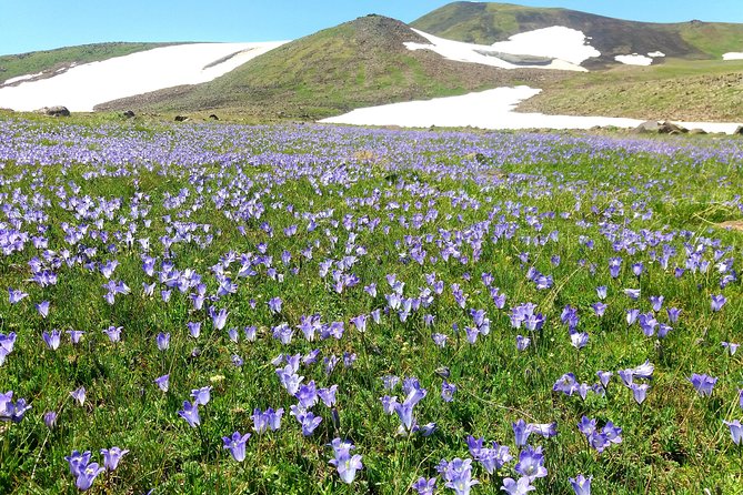 Daily Jeeping - Trekking Tour to Azhdahak Mountain - Tour Highlights and Inclusions