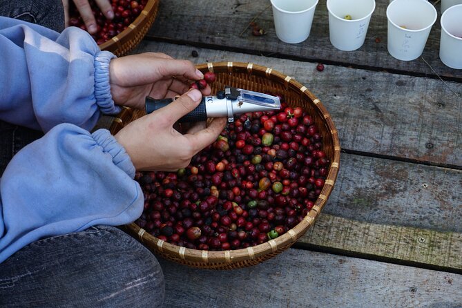 Dalats Countryside|Coffee Plantations Tour Beyond Elephant Falls - Meeting Point and Time