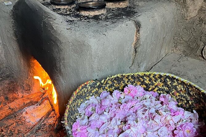 Damascus Roses - Discover the Secrets of Al Jabal Al Akhdhar - Inclusions and Exclusions