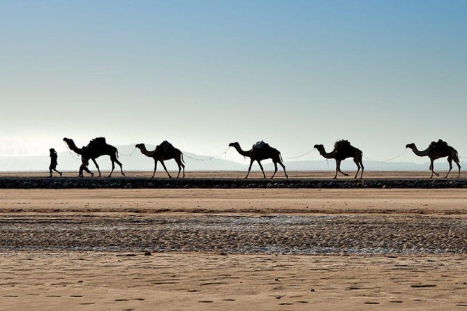 Danakil Depression And Lalibela 5 Days Tours - Tour Itinerary