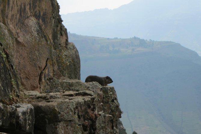 Day Hike Around Lalibela - Best Time to Hike