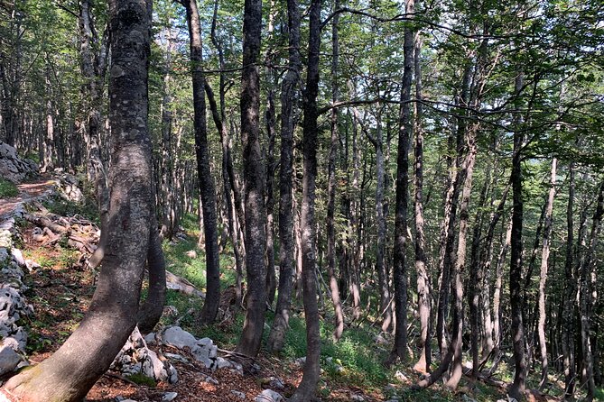 Day Hike in Velebit National Park Wilderness - Premuzic Trail - Meeting Point and Pickup