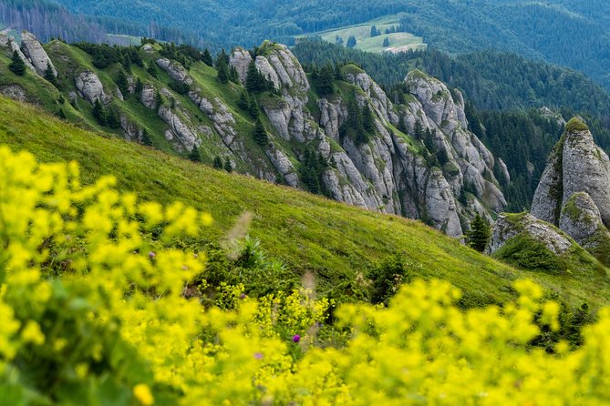 Day Hike PRIVATE – Ciucas Mountain