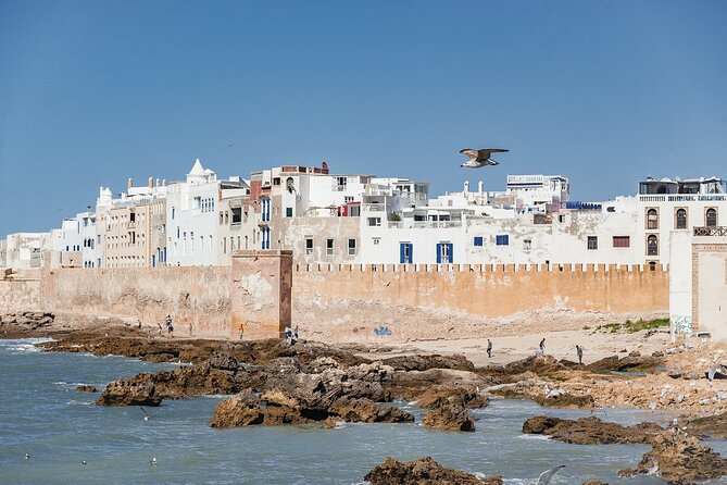 Day in Essaouira From Marrakech - Itinerary for the Day
