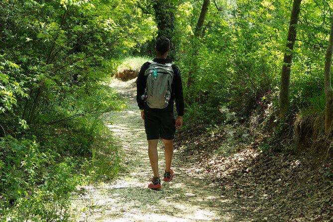 Day in Guided Tour to the Forgotten Village of Elcito With Snack - Village Exploration