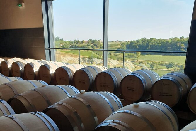 Day in Saint-Emilion - Medieval Village and Wine Tasting - Wine Tasting in Historic Cellars