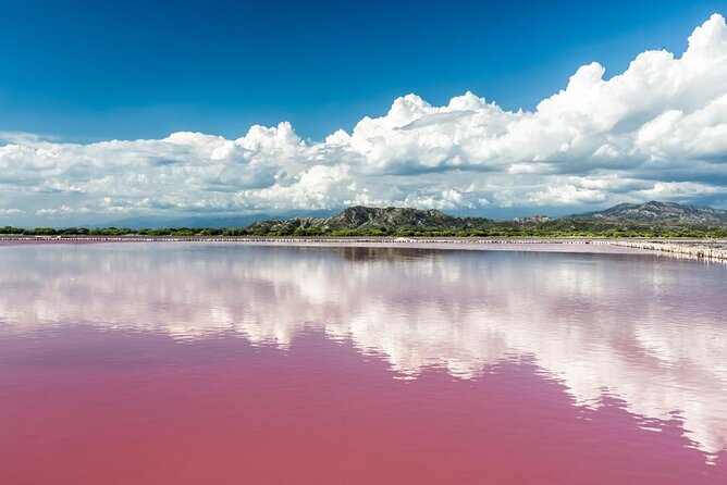 Day Tour Bandia Wildlife Reserve and Pink Lake - Good To Know