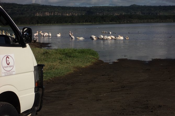 Day Tour Nairobi to the Lake Nakuru National Park - Tour Details