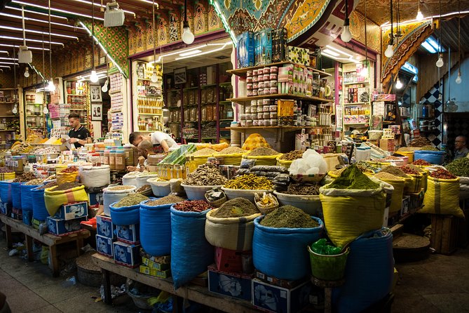 Day Tour of Fes - Tour Highlights