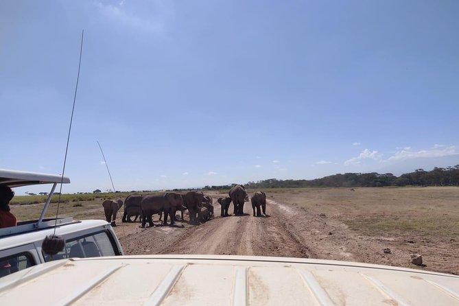 Day Tour to Amboseli National Park - Tour Overview