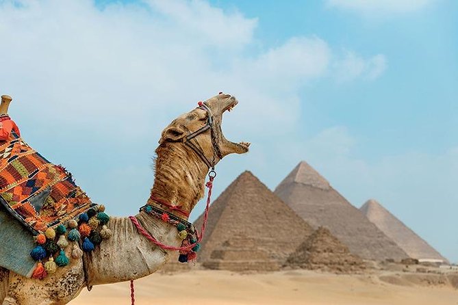 Day Tour to Cairo From Luxor by Flight - Exclusions