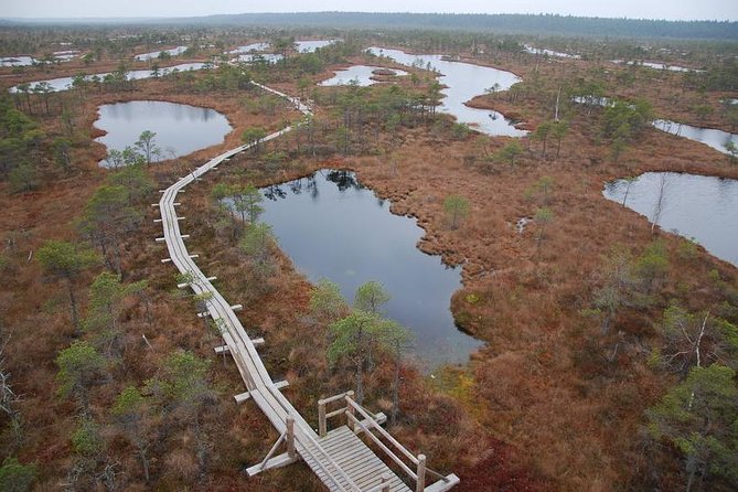 Day Tour to Kemeri National Park