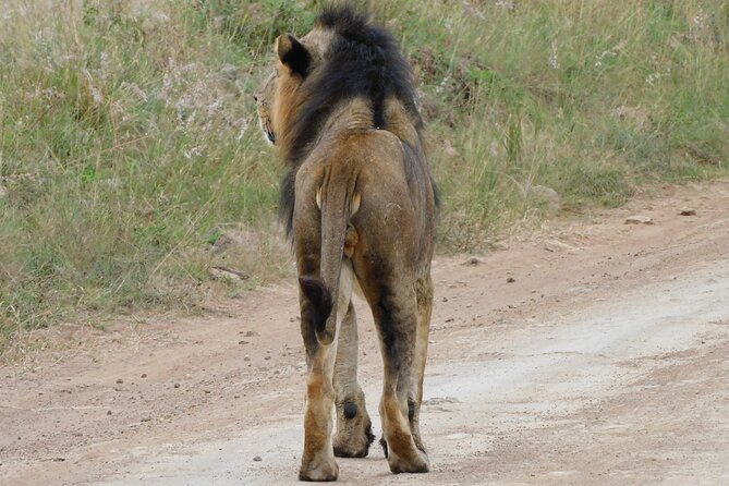 Day Tour to Nairobi National Park and Giraffe Center - Tour Overview