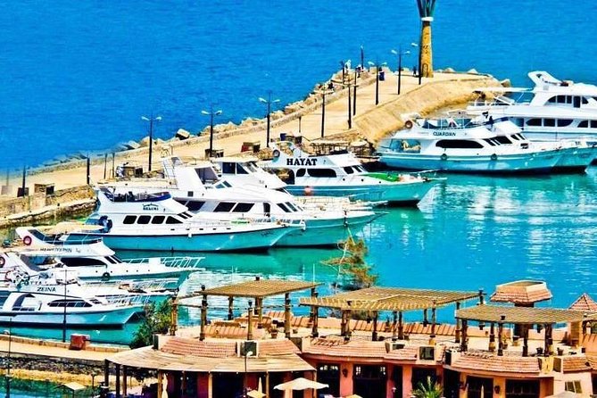 Day Tour to the Red Sea From Cairo - Inclusions and Experiences