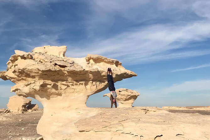 Day Tour to White Desert and Bahariya Oasis Tour - Tour Highlights