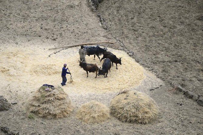 Day Trip From Lalibela to Asheton Mariam Monastery, Landscape, Lifestyle