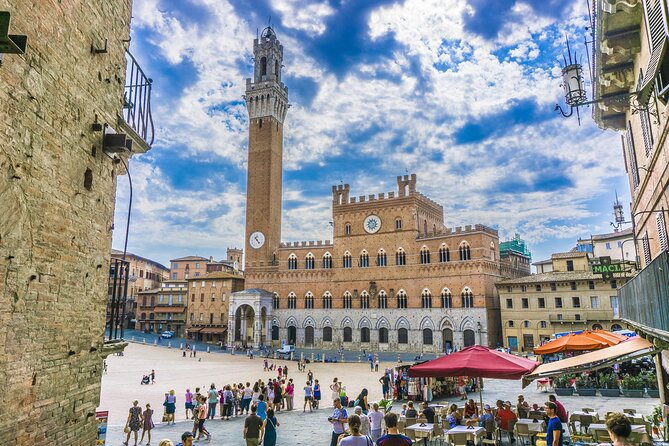 Day Trip From Rome to Siena and San Gimignano Wine Tasting - Operator Details
