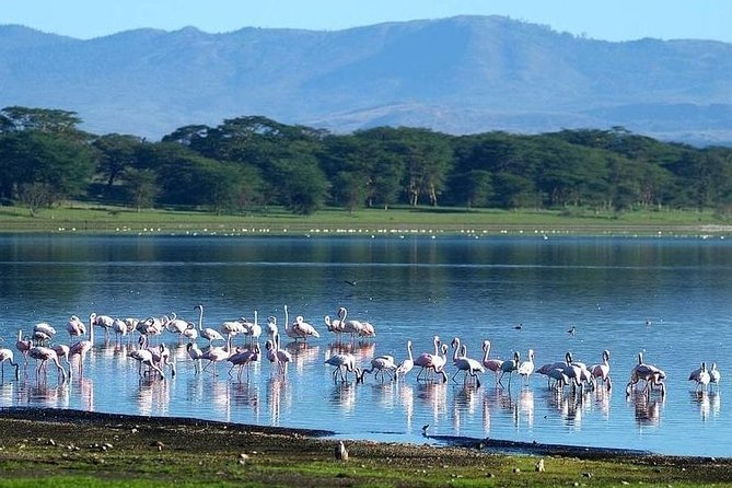 Day Trip Hells Gate Lake Naivasha Best Private Safari - Tour Details