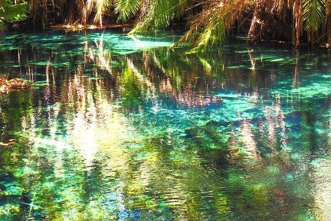 Day Trip-Materuni Waterfalls, Coffee Tour, Kikuletwa Hot Springs - Whats Included